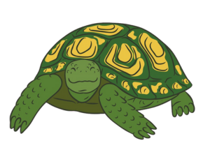 Chi Eta Phi turtle